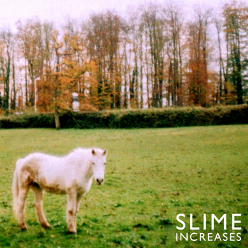 Slime - Increases