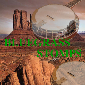 Various Artists - Bluegrass Stomps