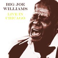 Big Joe Williams - Live In Chicago