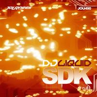DJ Liquid - SDK