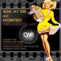Sean Jay Dee feat. Excentric - She's A Special Lady