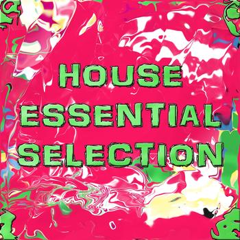 Various Artists - House Essential Selection