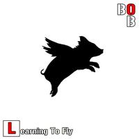 Bob - Learning to Fly (Explicit)