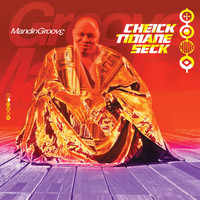 Cheick Tidiane Seck - MandinGroove