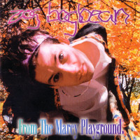 Marcy Playground - Zog Bogbean:  From The Marcy Playground (Marcy Playground)