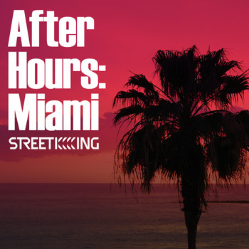 Various Artists - After Hours: Miami