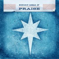 Various Artists - Worship Songs Of Praise