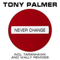 Tony Palmer - Never Change