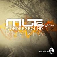Mute - Wonderground - Remixes