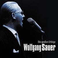 Wolfgang Sauer - Die Grossen Erfolge
