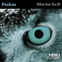Peckos - What Are You EP