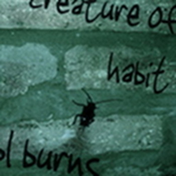 BL Burns - Creature of Habit