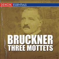Wiener Kammerorchester - Bruckner - Three Mottets