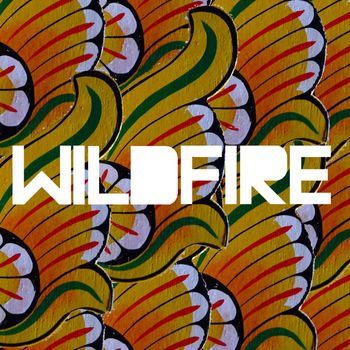 SBTRKT, Little Dragon - Wildfire