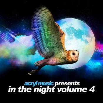 Various Artists - In The Night, Vol. 4