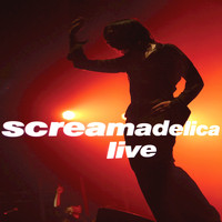 Primal Scream - Screamadelica - Live