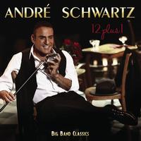 André Schwartz - 12 plus One