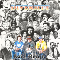 Acid Reign - Diversity (Explicit)