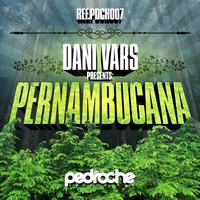 Dani Vars - Pernambucana (Original Mix)