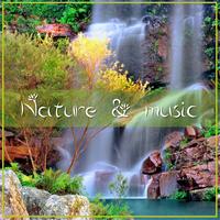 Various Artists - Nature & Music
