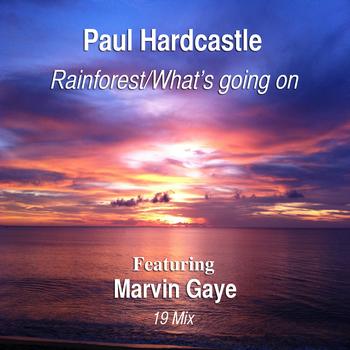 Paul Hardcastle - Rainforest/What's Going On (feat. Marvin Gaye) [19 Mix]
