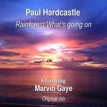 Paul Hardcastle - Rainforest/What's Going On