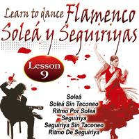 José Galván - Learn To Dance Flamenco-Soleá Y Seguiriya