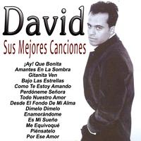 David - Sus Mejores Canciones-Tecno Rumbas