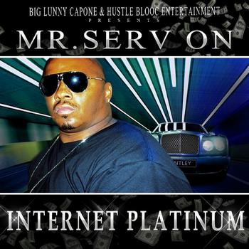 Mr. Serv-On - Internet Platinum