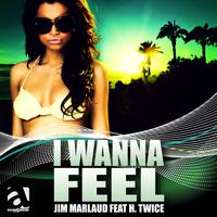Jim Marlaud - I Wanna Feel