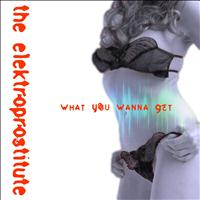 The Elektroprostitute - What You Wanna Get