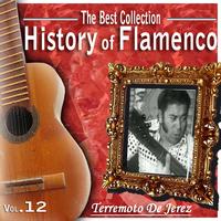 Terremoto De Jerez - The Best Collection. History Of Flamenco. Vol. 12: Terremoto de Jerez