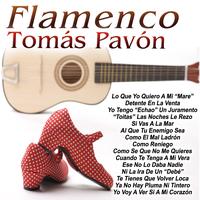Tomás Pavón - Flamenco