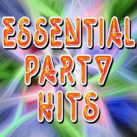 The Hit Nation - Essential Party Hits