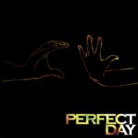 Cassettes Won't Listen - Perfect Day - Single
