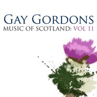 Haud Yer Lugs Ceilidh Band - Gay Gordons: Music Of Scotland Volume 11