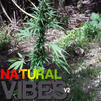 Various Artists - Natural Vibes Volume 2