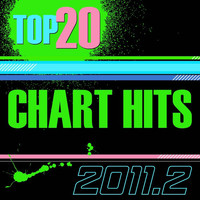 The CDM Chartbreakers - Top 20 Chart Hits 2011, Vol. 2
