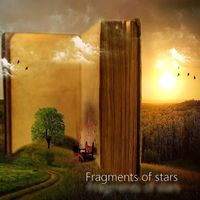 Walter Mazzaccaro - Fragments of Stars