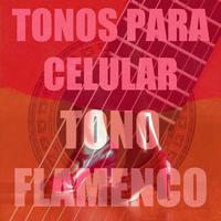 Tuenti - Tono Flamenco