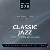 The Charleston Chasers - New York Jazz Groups 1924-30