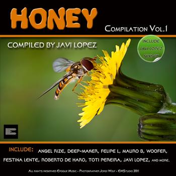Various Artists - Honey Compilation, Vol.1