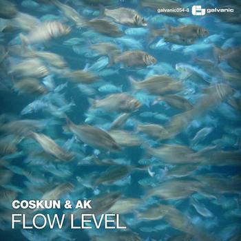 Coskun & Ak - Flow Level