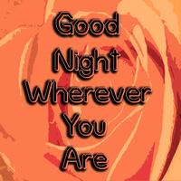 Russ Morgan -  Good Night Wherever You Are 