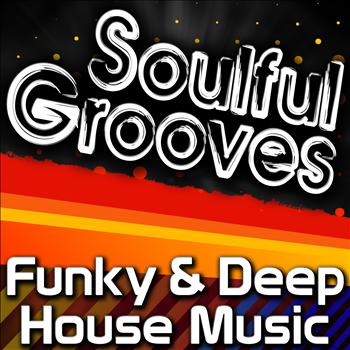 Various Artists - Soulful Grooves - Funky & Deep House Music