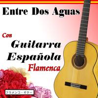 Salvador Andrades - Entre Dos Aguas Con Guitarra Española Flamenca