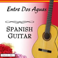 Salvador Andrades - Entre Dos Aguas With Spanish Guitar