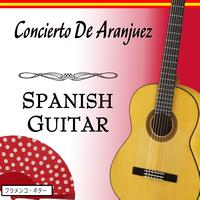 Salvador Andrades - Concierto De Aranjuez With Spanish Guitar