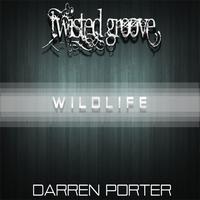 Darren Porter - Wildlife