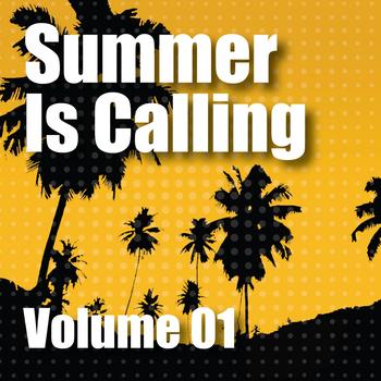 Various Artists - Summer Is Calling Volume 01